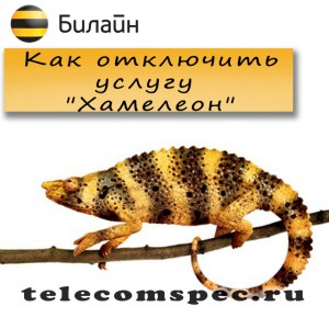 Услуга "Хамелеон" от Билайн: как подключить и отключить услугу Услуга "Хамелеон" от Билайн: как подключить и отключить услугу
